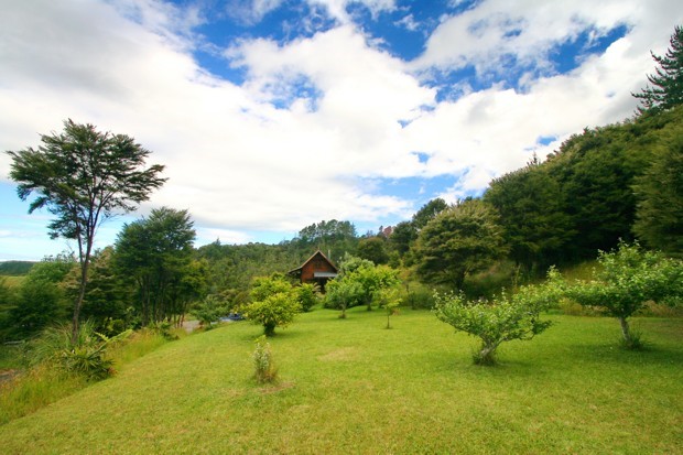 Cuvier Chalet - garden